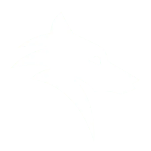 Overwolf logo